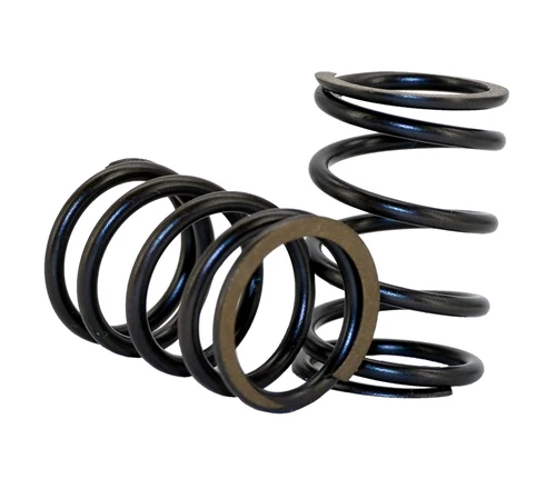 22lb Valve Spring - Pair