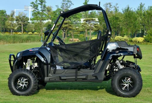 Blade 200U EFI UTV Side-by-Side, Electric Start, Automatic with Reverse, Ages 16 and up - Image 11