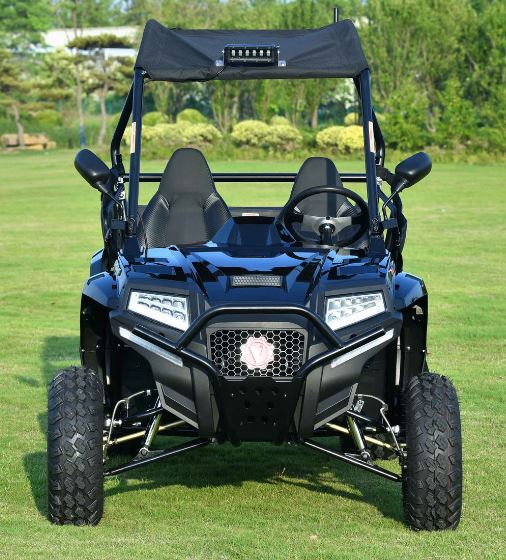 Blade 200U EFI UTV Side-by-Side, Electric Start, Automatic with Reverse, Ages 16 and up - Image 8