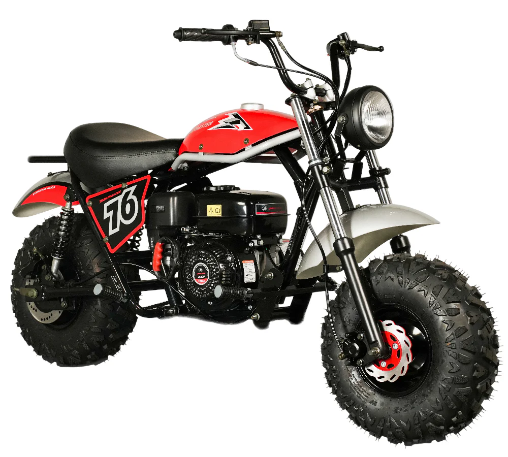 Brake Assembly for Trailmaster Hurricane 200X Mini Bike, 45100-YL