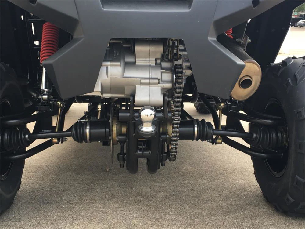 TrailMaster Challenger 300EX (EFI) UTV Side-by-Side, Shaft Drive with Independent Rear Suspension - Image 12