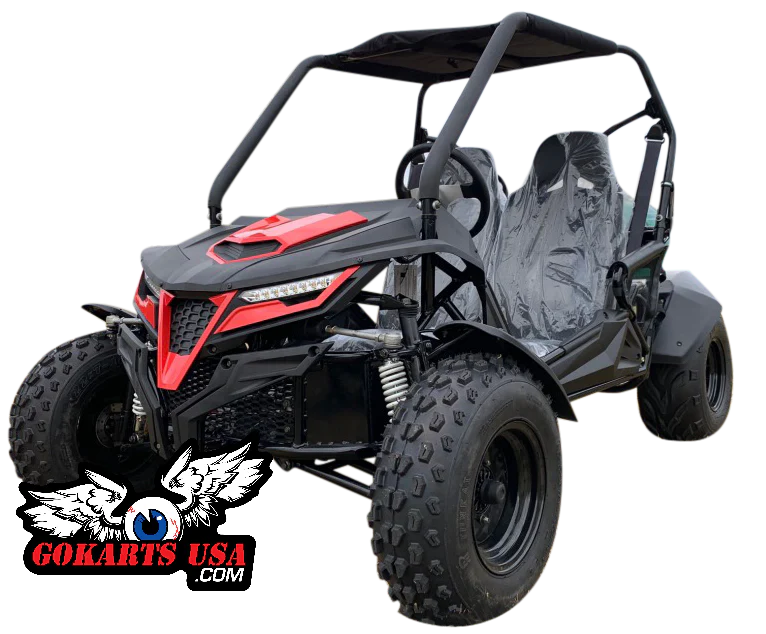 TrailMaster Cheetah 200 Full Size Buggy Go Kart, CVT Automatic with Reverse - Image 12