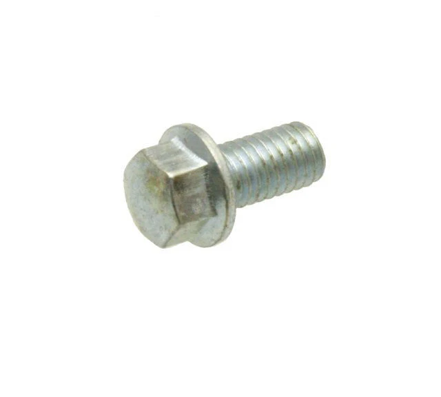 Cam Chain Bolt - M6x1.00