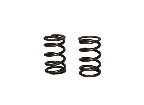 Comp Cams GP966 Severe Duty Valve Springs - Pair