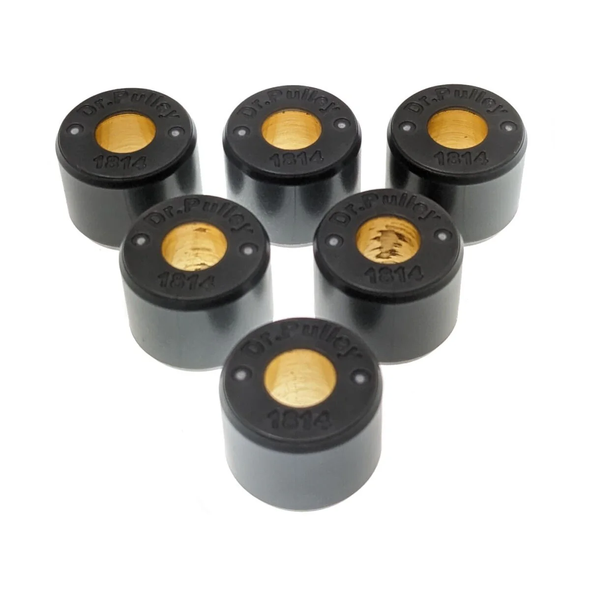 Dr. Pulley 18x14 Round Roller Weights - Image 2