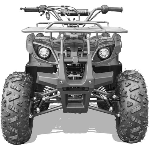 Bull Kids Gas Powered ATV, Electric Start 125cc 4-Stroke, Automatic with Reverse, Ages 12 and up - Image 9