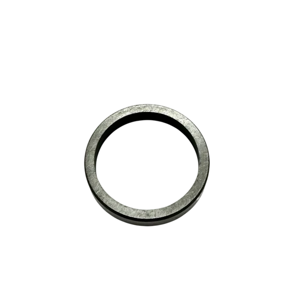 Genuine Briggs & Stratton Valve Seat