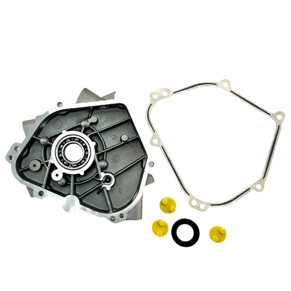 Genuine Briggs & Stratton World Formula Side Cover #555706
