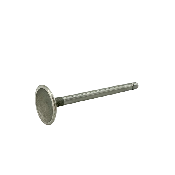 Genuine OEM Briggs & Stratton Intake Valve - World Formula