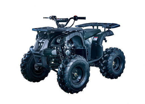 Rider 10 125cc Utility Style ATV, Auto with Reverse, Front Rack, Rear Rack, Deluxe front Bumper, Ages 12 and up - Image 10