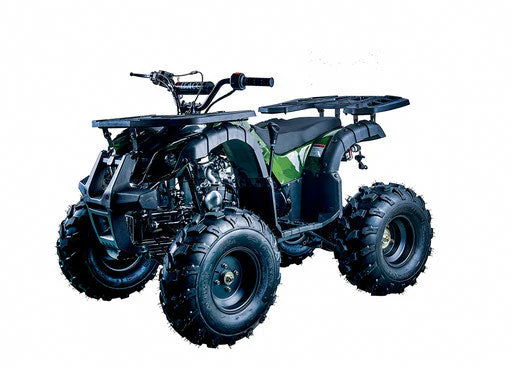 Rider 10 125cc Utility Style ATV, Auto with Reverse, Front Rack, Rear Rack, Deluxe front Bumper, Ages 12 and up - Image 5