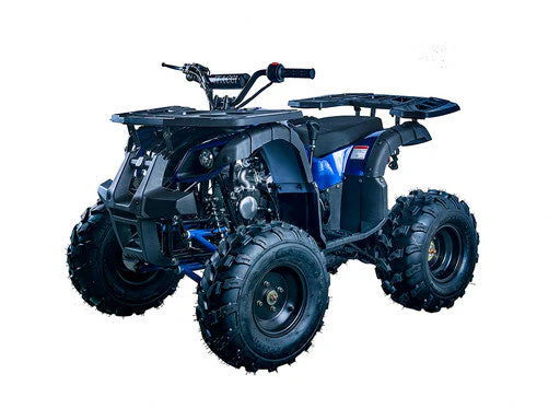 Rider 10 125cc Utility Style ATV, Auto with Reverse, Front Rack, Rear Rack, Deluxe front Bumper, Ages 12 and up - Image 6