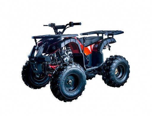 Rider 10 125cc Utility Style ATV, Auto with Reverse, Front Rack, Rear Rack, Deluxe front Bumper, Ages 12 and up - Image 7