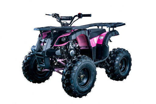 Rider 10 125cc Utility Style ATV, Auto with Reverse, Front Rack, Rear Rack, Deluxe front Bumper, Ages 12 and up - Image 8