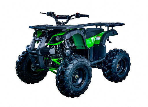 Rider 10 125cc Utility Style ATV, Auto with Reverse, Front Rack, Rear Rack, Deluxe front Bumper, Ages 12 and up - Image 9