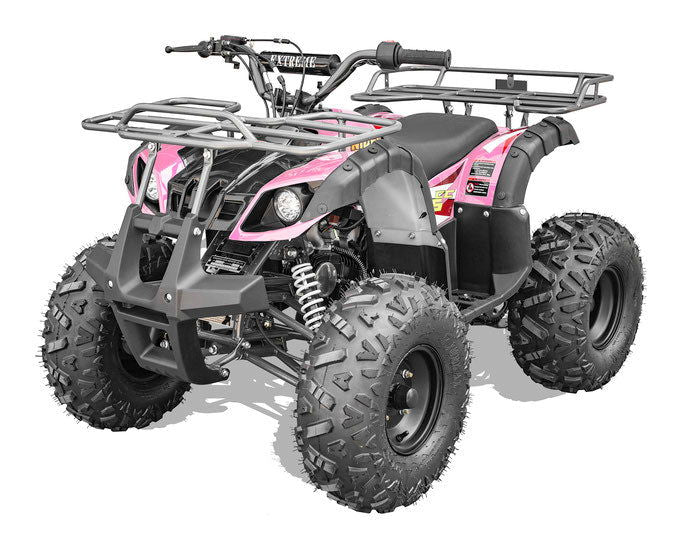 Rider 9 125cc Utility Style ATV, Auto with Reverse, Front Bumper, Front Rack, Rear Rack, Ages 12 and up - Image 3