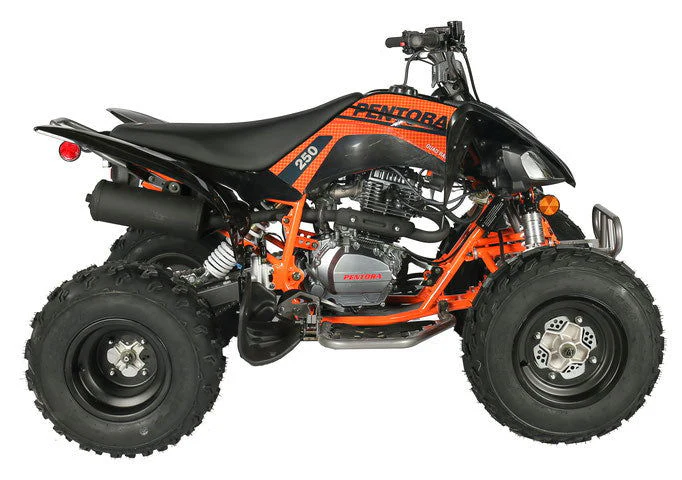 Pentora 250cc Sport ATV, 4-Speed Manual with Reverse - Image 5