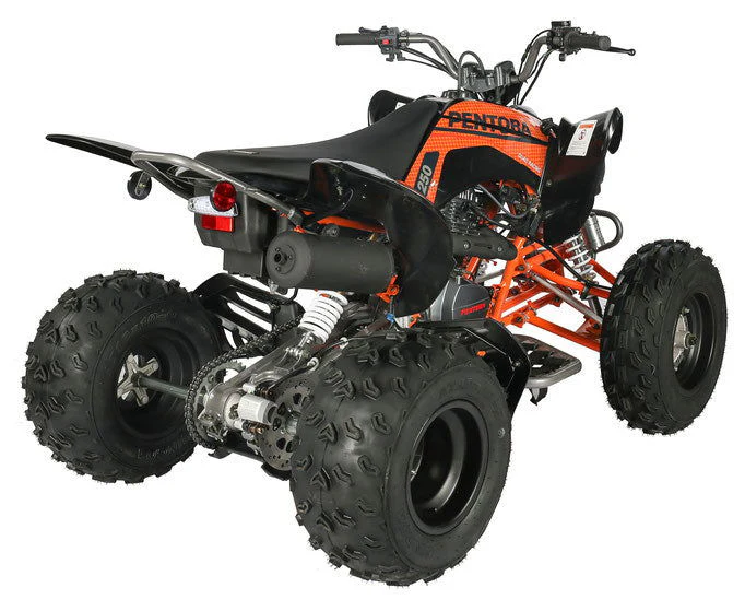 Pentora 250cc Sport ATV, 4-Speed Manual with Reverse - Image 6