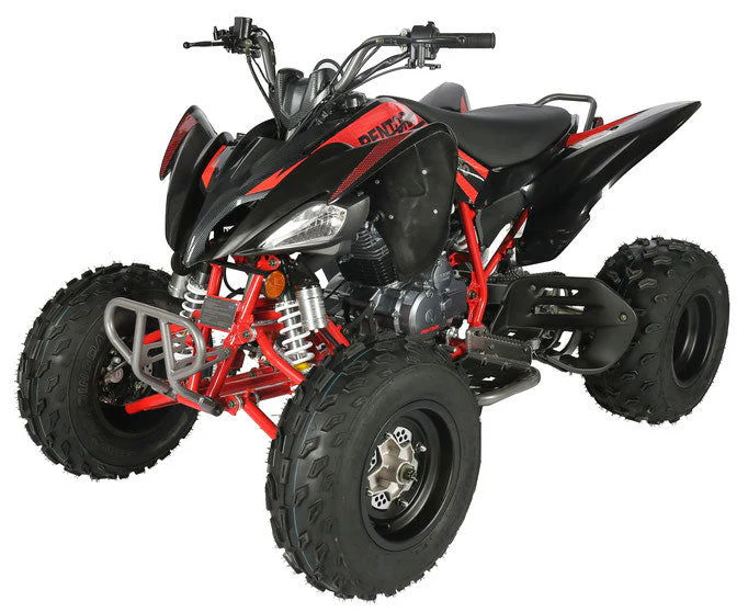 Pentora 250cc Sport ATV, 4-Speed Manual with Reverse - Image 7