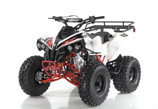 Sport Trax 125cc Sport ATV, Fully-Automatic with Reverse, Ages 12 and up - Image 3