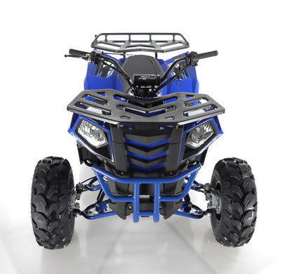 Commander DLX 125cc Utility Style ATV, Fully-Automatic with Reverse, Deluxe Alloy Wheels, Ages 16 and up - Image 6