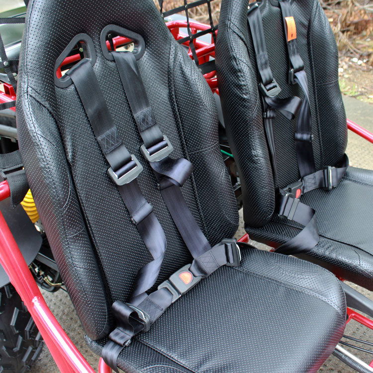 Jaguar 200 DLX Buggy Go Kart, Electric Start, Automatic with Reverse, 10-inch Alloy Wheels, Ages 16 and up - Image 12