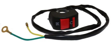 Minibike Kill Switch