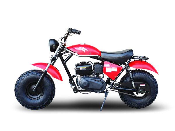 TrailMaster Monster Dog II Mini Bike, 196cc 6.5hp with Torque Converter, Rear Hydraulic Disc Brake - Image 10