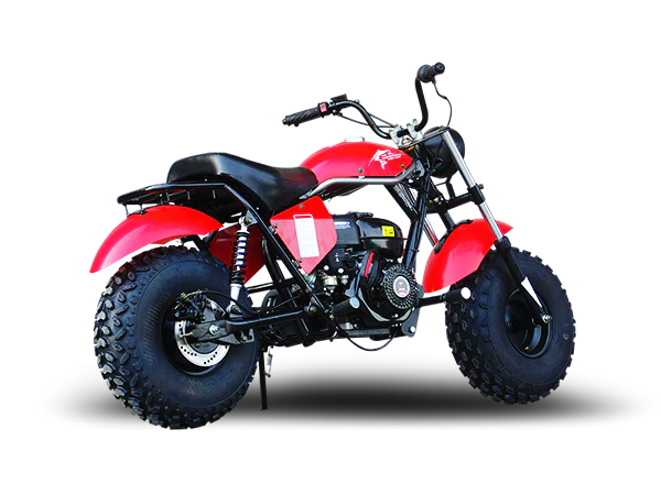 TrailMaster Monster Dog II Mini Bike, 196cc 6.5hp with Torque Converter, Rear Hydraulic Disc Brake - Image 6