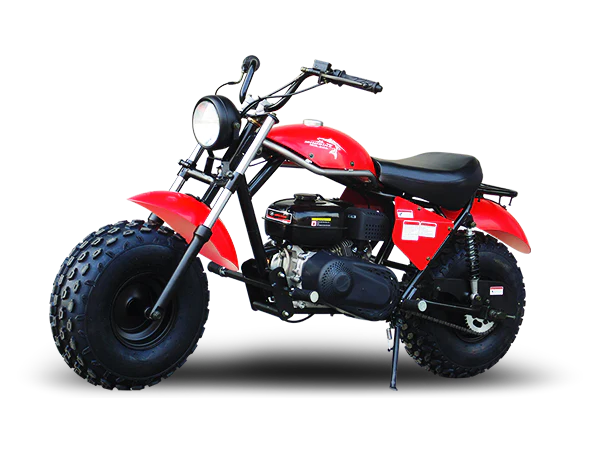 TrailMaster Monster Dog II Mini Bike, 196cc 6.5hp with Torque Converter, Rear Hydraulic Disc Brake - Image 9