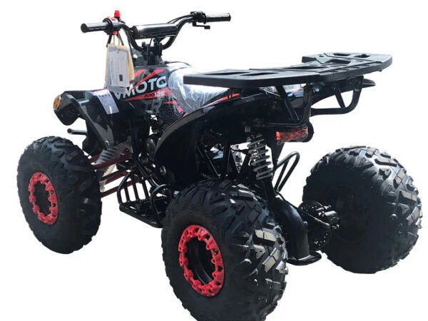 Pro Max 125cc Sport ATV, Automatic with Reverse, 8 inch Wheels, Electric Start, Ages 12 and up - Image 4