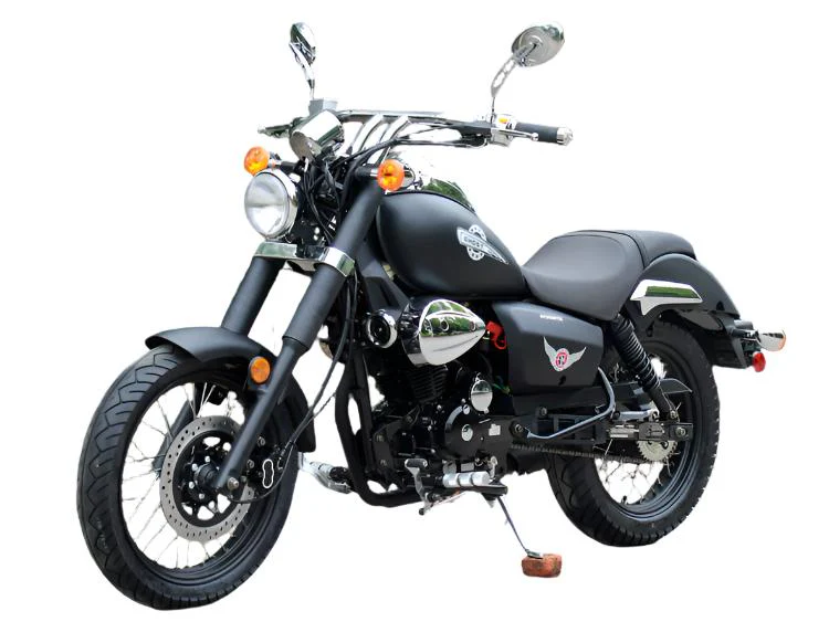 Raider 250 Street Motorcycle, 5-Speed Manual - Image 3