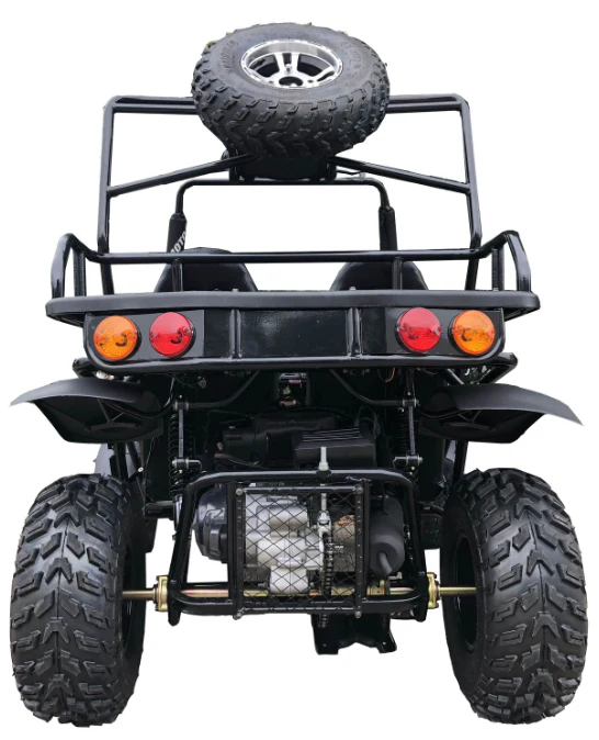 Rancher 200DLX Buggy Go Kart, Electric Start, Automatic with Reverse, 10-inch Deluxe Alloy Wheels, Ages 16 and up - Image 10