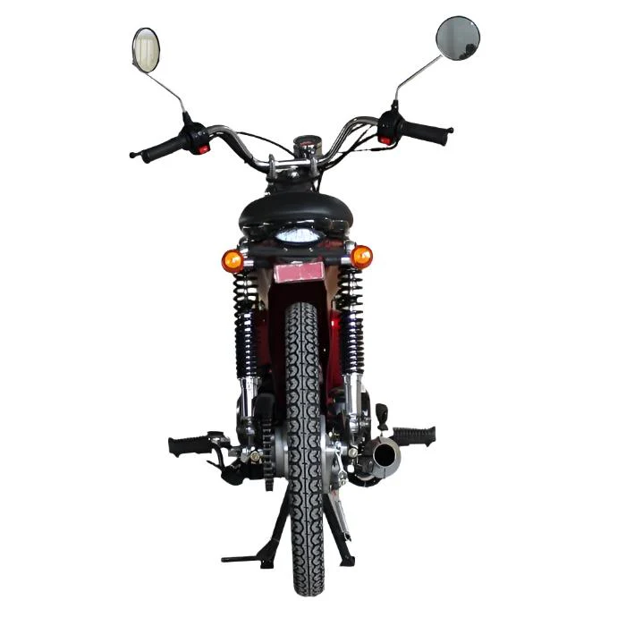 Rector 125 RTX Motorized Gas Bicycle, 125cc 4-Speed Manual - Image 10
