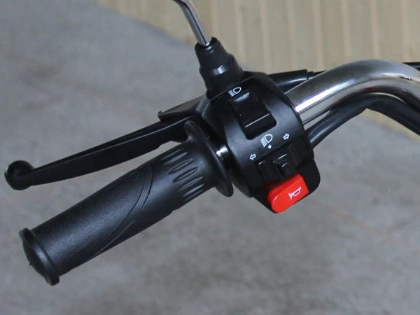 Rector 125 RTX Motorized Gas Bicycle, 125cc 4-Speed Manual - Image 16