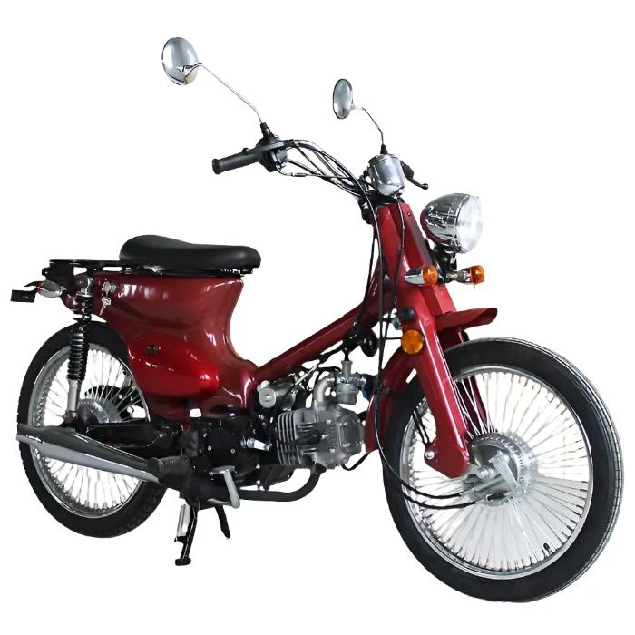 Rector 125 RTX Motorized Gas Bicycle, 125cc 4-Speed Manual - Image 5