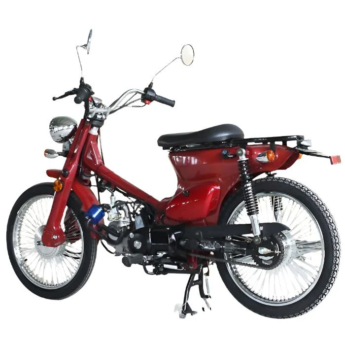 Rector 125 RTX Motorized Gas Bicycle, 125cc 4-Speed Manual - Image 6