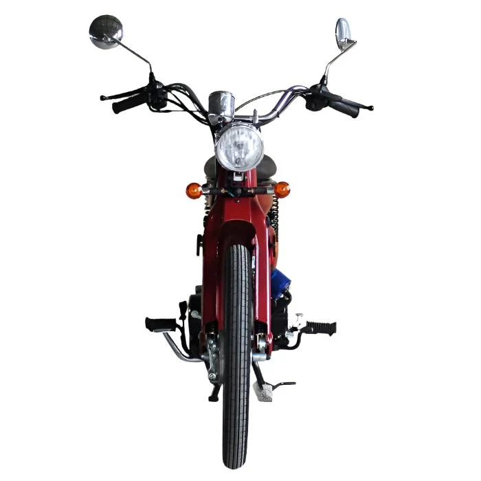 Rector 125 RTX Motorized Gas Bicycle, 125cc 4-Speed Manual - Image 9