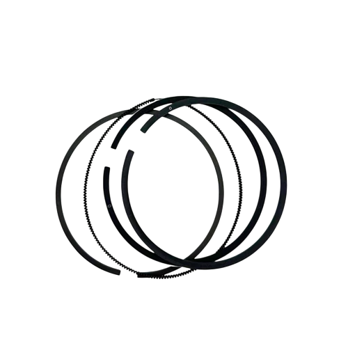 Ring Set, Animal & World Formula, Briggs, Standard