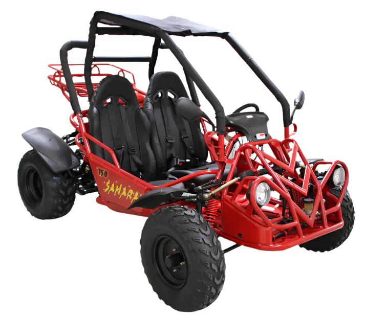 Sahara 150cc Buggy Go Kart, Electric Start, Automatic with Reverse, Ages 16 and up - Image 3