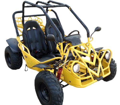 Sahara 150cc Buggy Go Kart, Electric Start, Automatic with Reverse, Ages 16 and up - Image 4