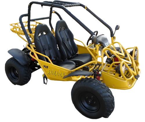 Sahara 150cc Buggy Go Kart, Electric Start, Automatic with Reverse, Ages 16 and up - Image 6