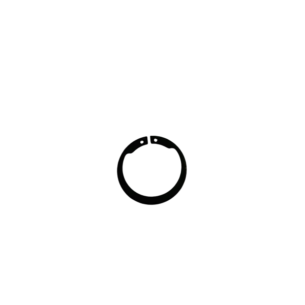 Snap Ring, Clutch Hub, Max-Torque
