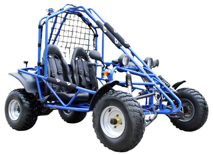 Spider 200 Buggy Go Kart, Electric Start, Automatic with Reverse, 10-inch Steel Wheels, Ages 16 and up - Image 13