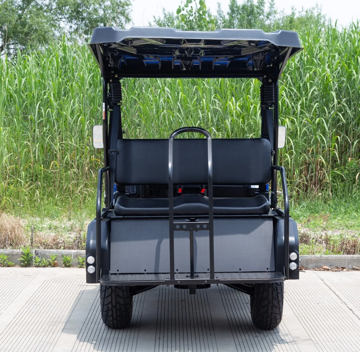 SSV 200 EFI Gas Golf Cart, Automatic with Reverse, Deluxe Alloy Wheels, Fully Assembled - Image 12