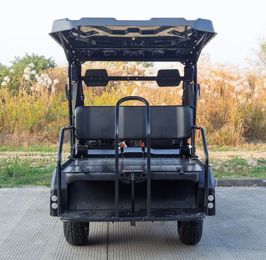 SSV 200 EFI Gas Golf Cart, Automatic with Reverse, Deluxe Alloy Wheels, Fully Assembled - Image 13