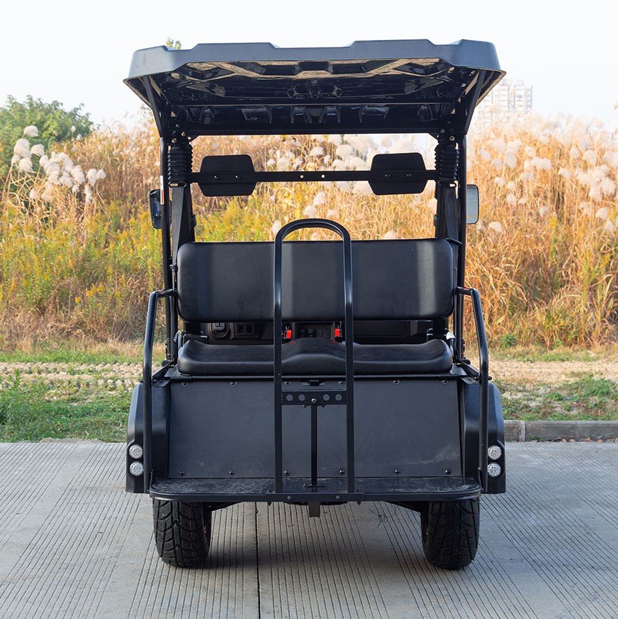 SSV 200 EFI Gas Golf Cart, Automatic with Reverse, Deluxe Alloy Wheels, Fully Assembled - Image 14