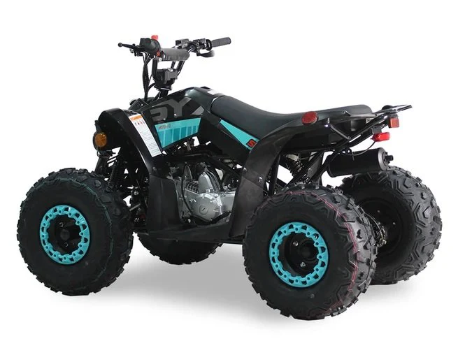 SYX 125cc Kids Sport ATV, 3-Speed Semi-automatic with Reverse, Ages 9-12 - Image 11