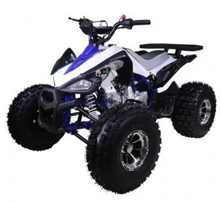 Tao Cheetah Deluxe 125cc Sport ATV, Electric Start, Automatic with Reverse, Ages 12 and up - Image 2