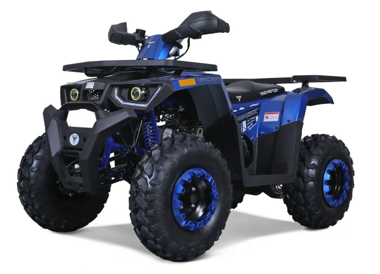 Tao G200 200cc Utility Style ATV, Electric Start, Automatic with Reverse, 10-inch Wheels - Image 2